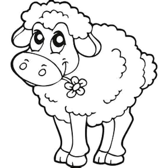 Название: Раскраска Милая овечка. Категория: Овца. Теги: Овца.