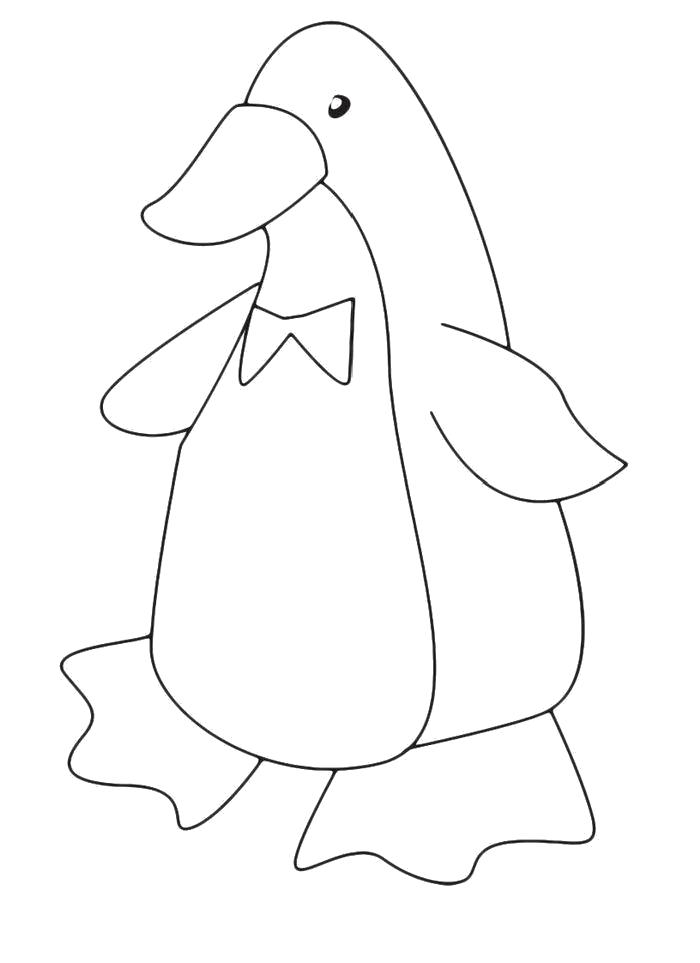 Раскраска Раскраска Нарисованный пингвин. Пингвин