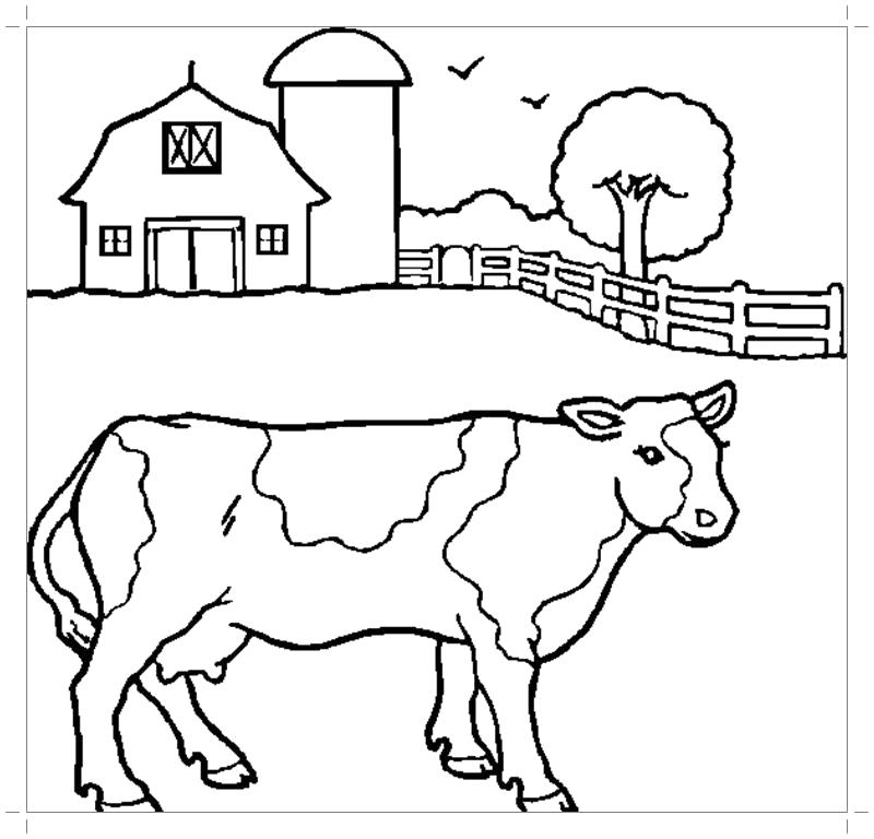 Название: Раскраска Корова на ферме. Категория: Домашние животные. Теги: Корова.