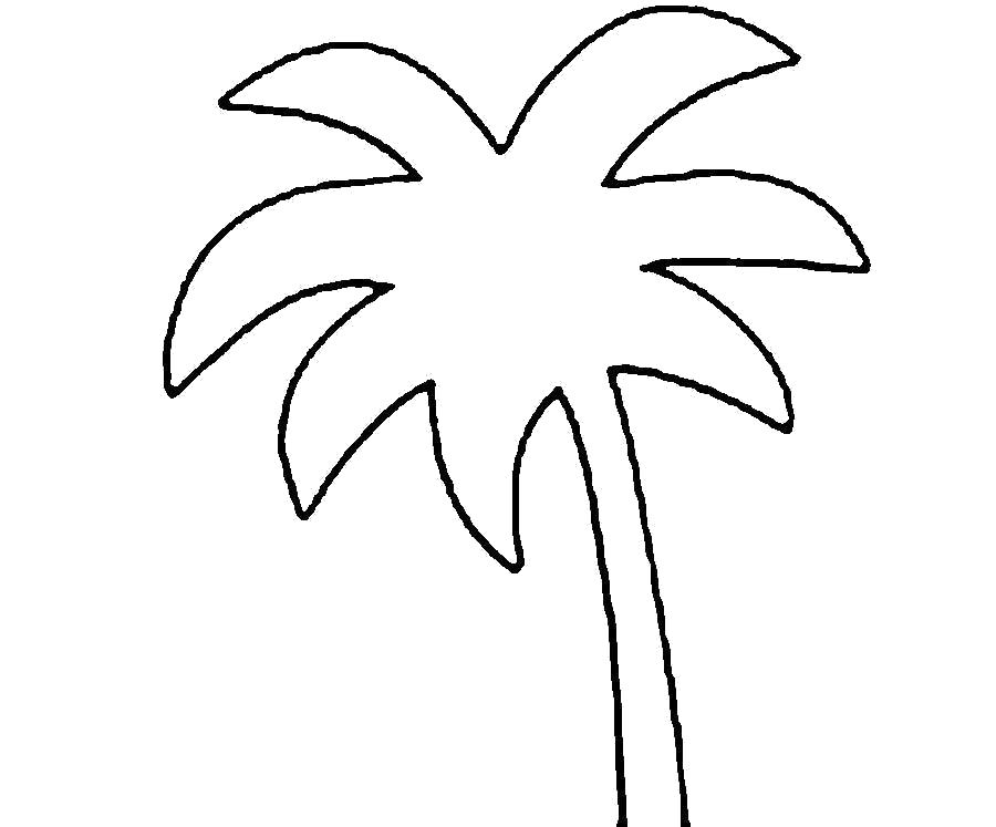 Красивая и простая поделка: пальма: пошаговый мастер-класс с фото