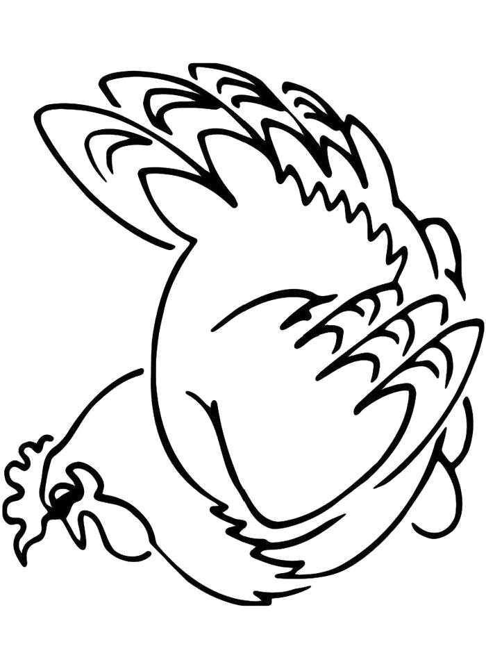Название: Раскраска Раскраска Курица-наседка. Категория: Домашние животные. Теги: Курица.