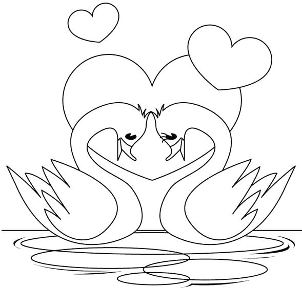 Раскраска Влюбленные лебеди. любовь