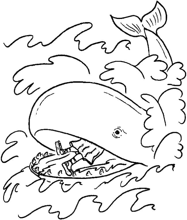 Название: Раскраска кит огромен. Категория: Кит. Теги: Кит.