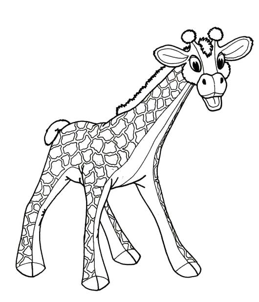 Название: Раскраска Раскраска. Жираф. Категория: Дикие животные. Теги: жираф.