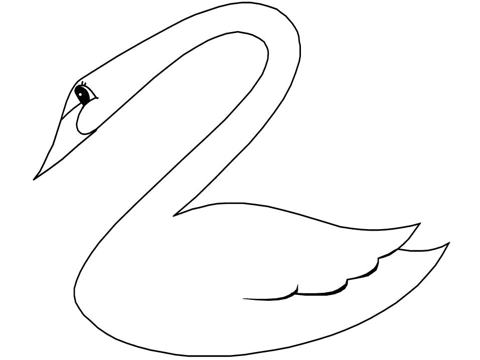 Раскраска Раскраска Лебедь изогнул шею. Лебедь