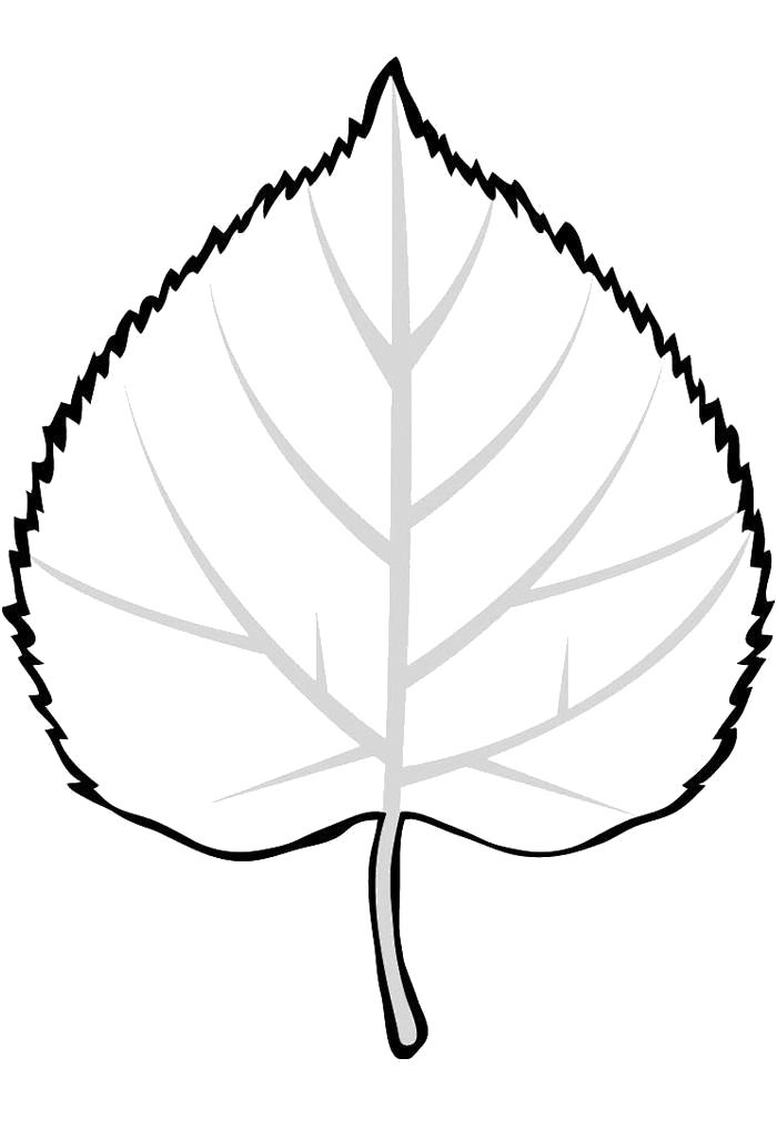 Название: Раскраска Раскраски малышей контур листа. Категория: растения. Теги: лист.