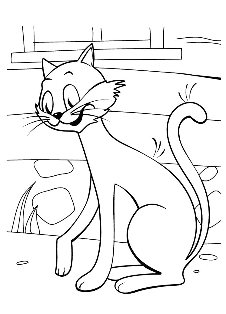 Раскраска Котик. Домашние животные