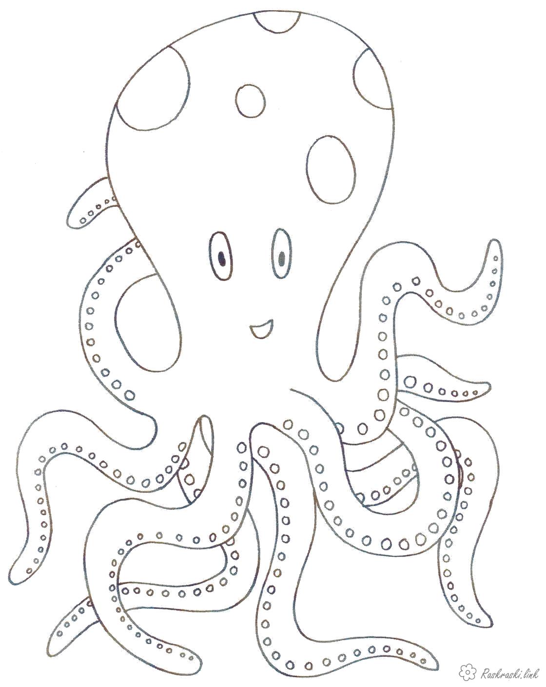 Раскраска  Подводный мир, осьминог. Скачать подводный мир.  Распечатать подводный мир