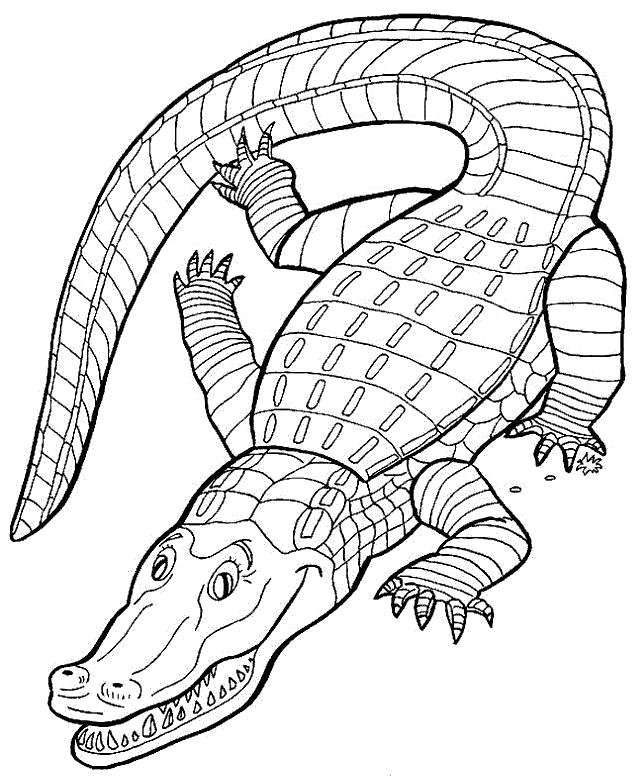 Название: Раскраска Зеленый крокодил. Категория: Дикие животные. Теги: крокодил.