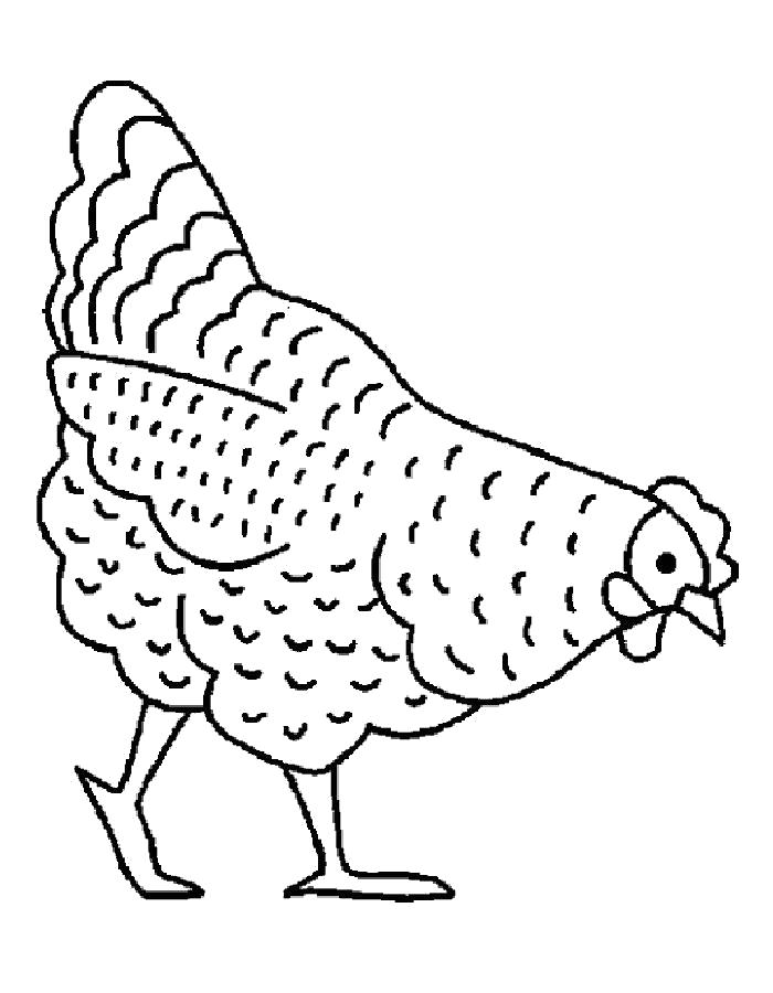 Название: Раскраска Раскраска курица. Категория: Домашние животные. Теги: Курица.
