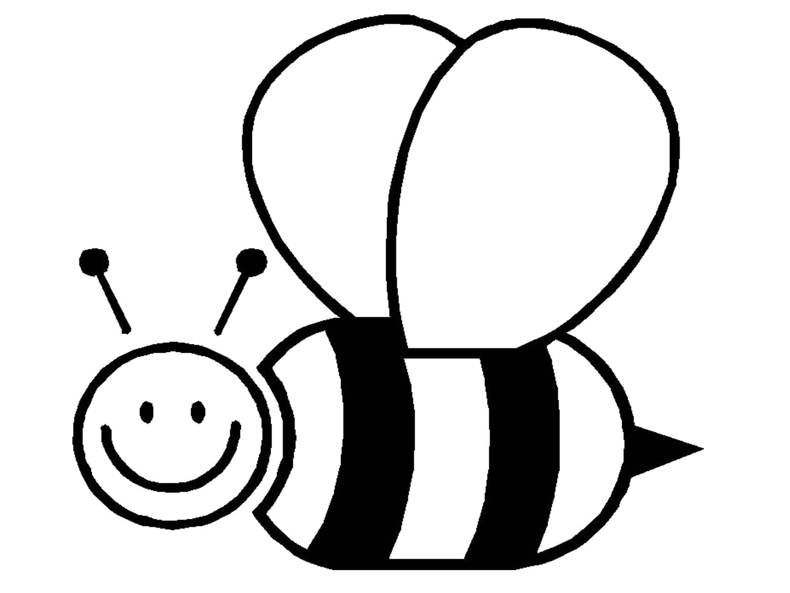 Название: Раскраска раскраска пчела. Категория: Насекомые. Теги: Пчела.