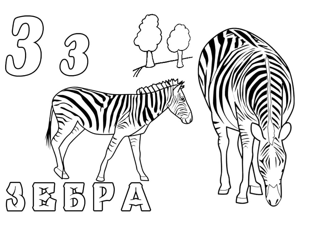 Название: Раскраска Раскраска зебра. Буква з. Алфавит.. Категория: Дикие животные. Теги: зебра.