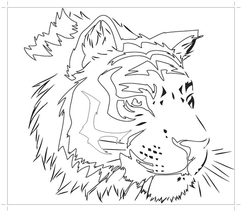 Раскраска Тигр  раскраска. Дикие животные