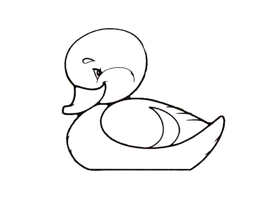 Название: Раскраска Раскраска утка. Категория: Домашние животные. Теги: Утенок.