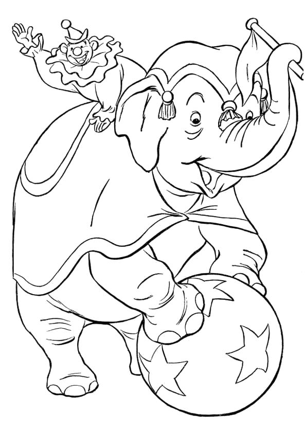 Название: Раскраска Цирковой слон. Категория: цирк. Теги: цирк.