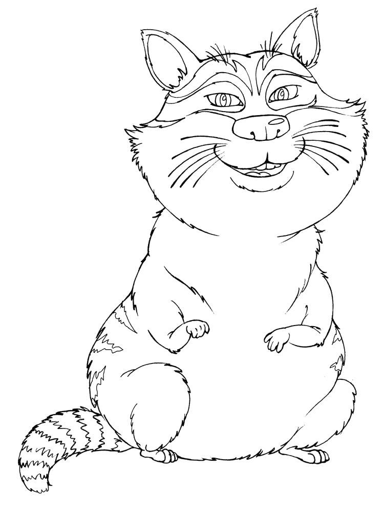 Раскраски толстый, Раскраска Толстый кот Пушок Домашние животные.