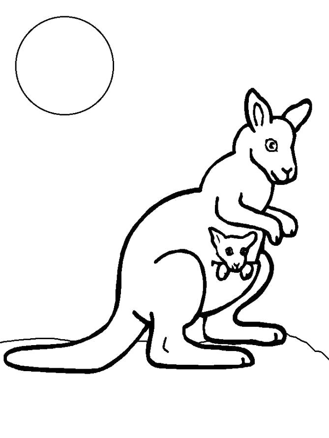 Название: Раскраска Раскраска Кенгуру. Категория: кенгуру. Теги: кенгуру.