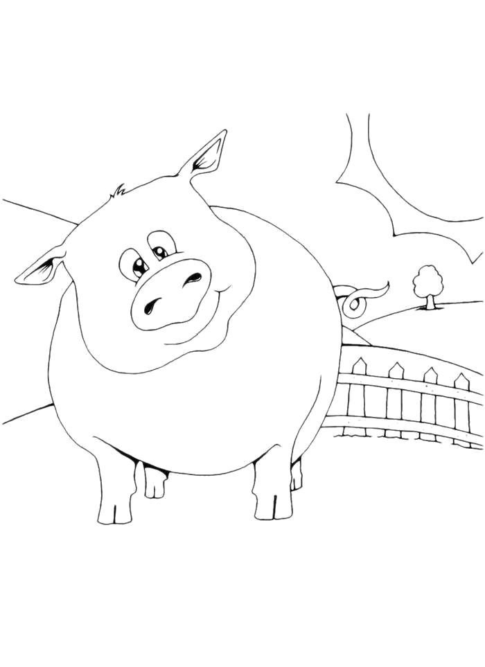 Раскраска Раскраска Толстая свинка в деревне. Свинья