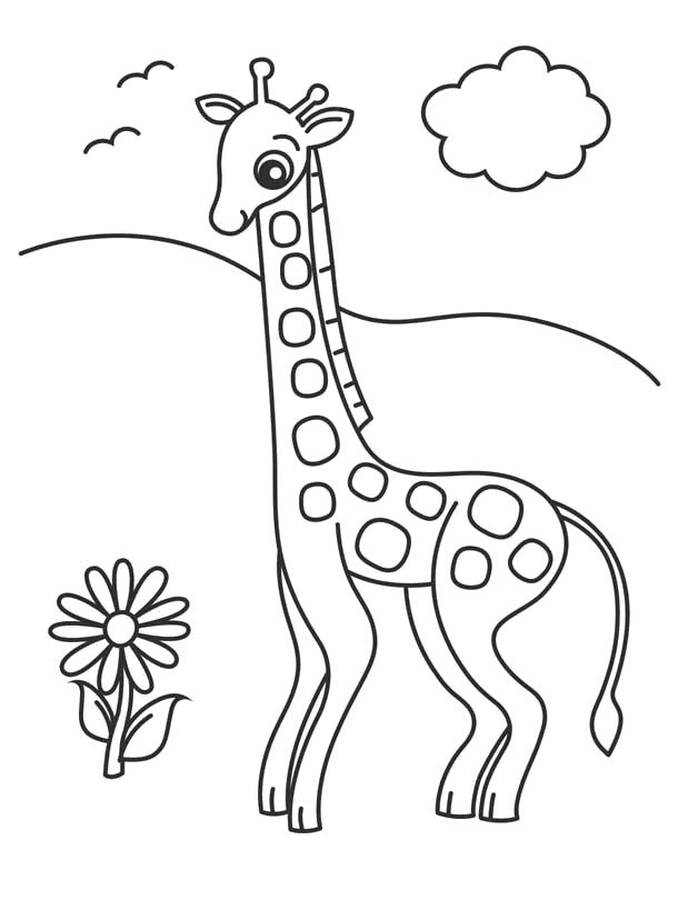 Раскраска Жирафик с цветочком. Дикие животные