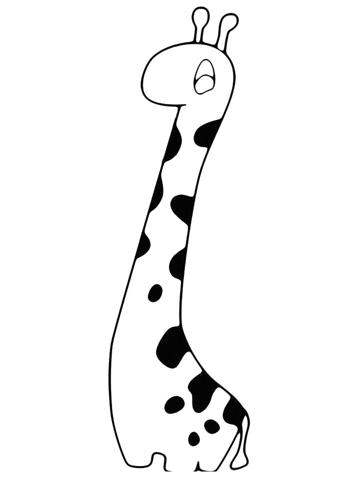 Раскраска Раскраска Мультяшный жираф. жираф
