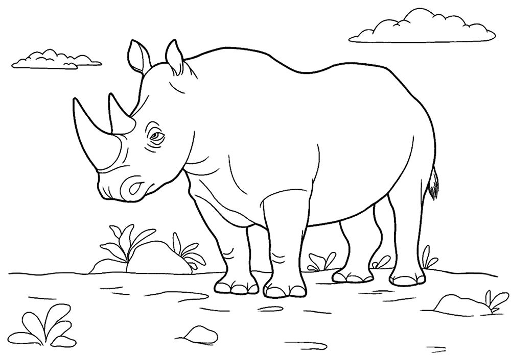 Название: Раскраска Раскраска носорог для детей. Категория: Дикие животные. Теги: Носорог.