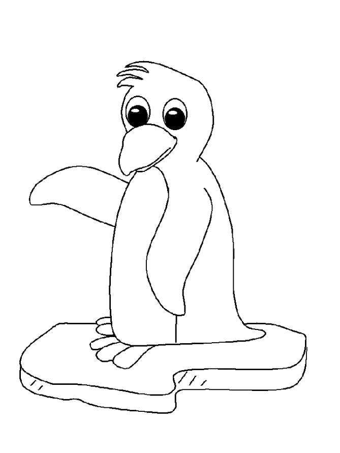 Раскраска Раскраска Пингвин ребенку. Пингвин