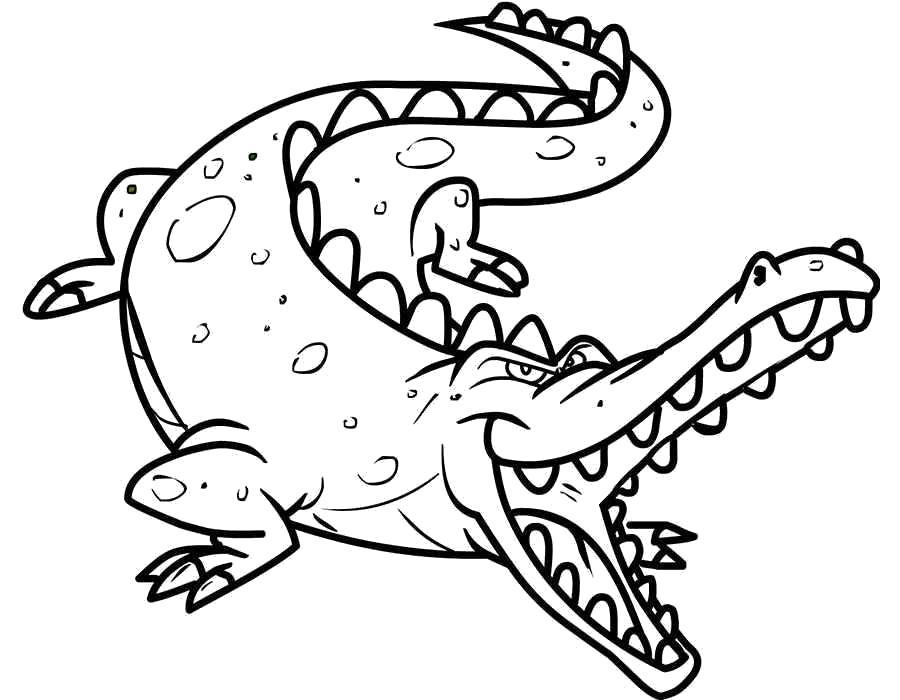Название: Раскраска Раскраска крокодил. Категория: крокодил. Теги: крокодил.