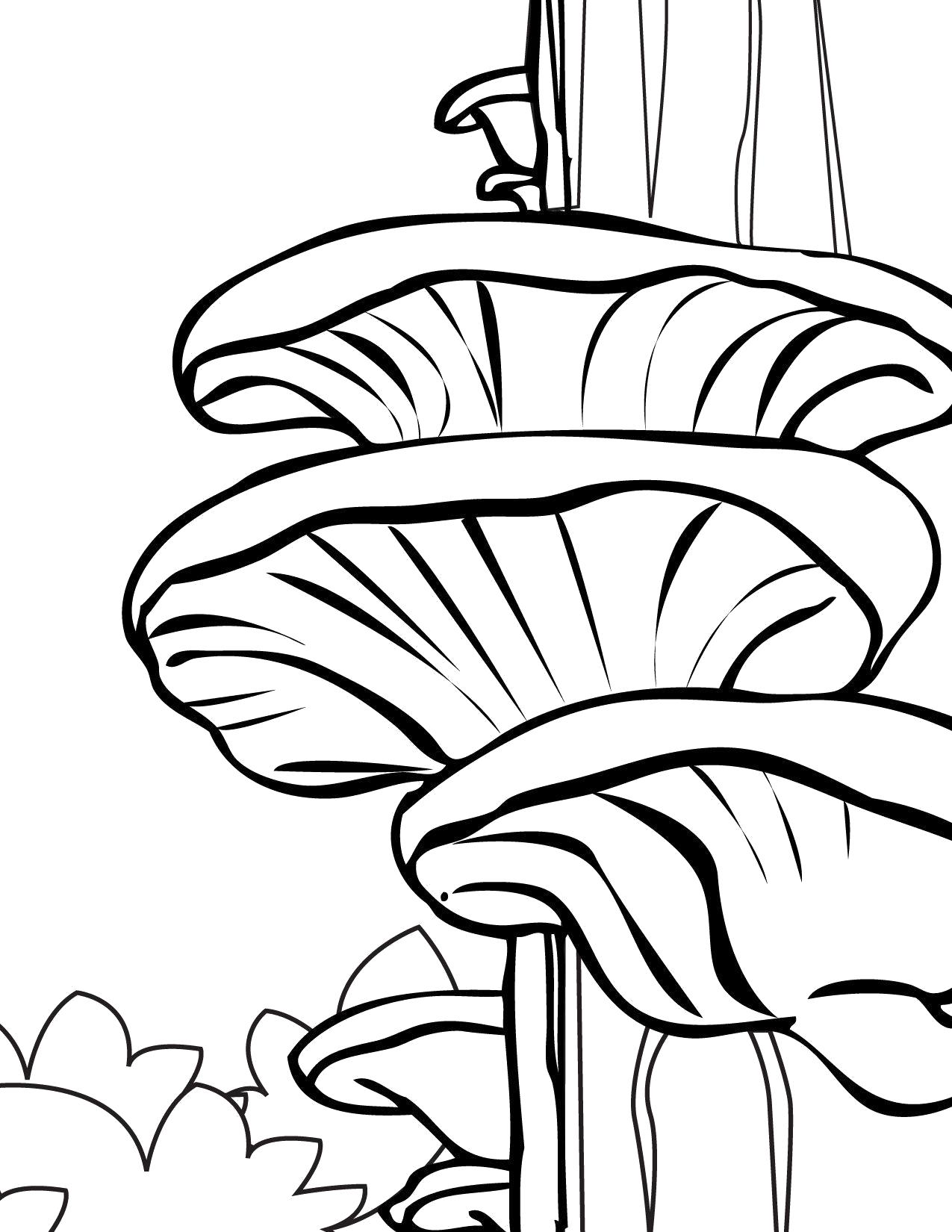 Раскраска Древесный гриб. 