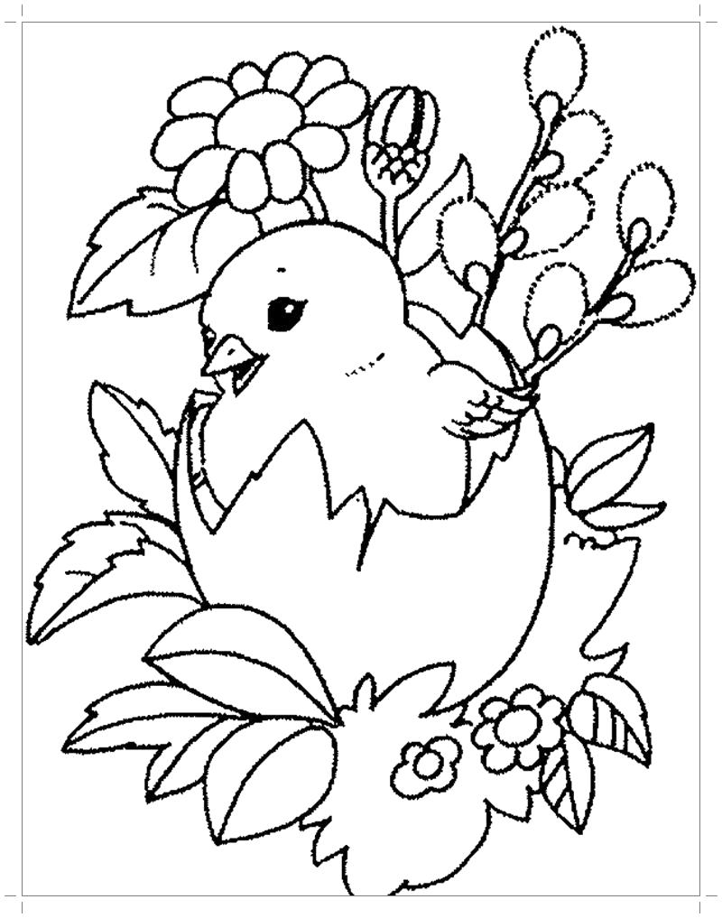 Раскраска Раскраска цыпленок для малышей. Цыпленок