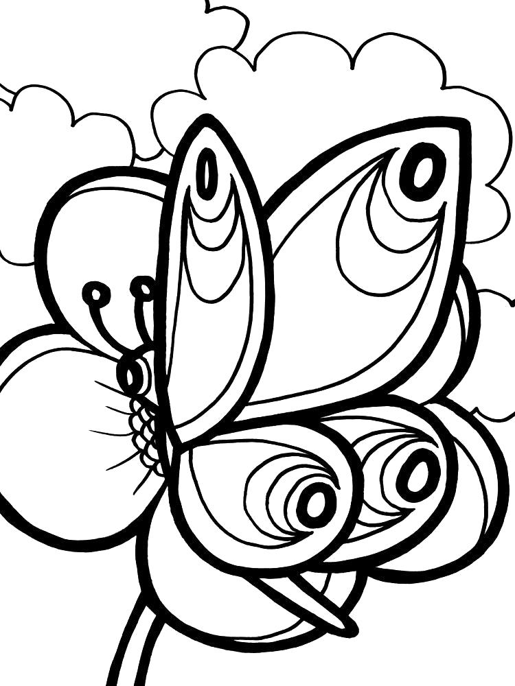 Раскраска  для девочек бабочки. Скачать Бабочки.  Распечатать Насекомые