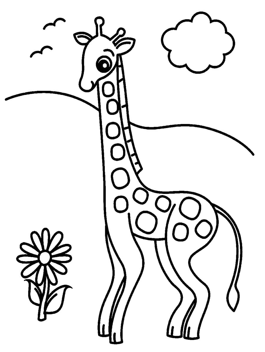 Раскраска Жираф и цветочек . Дикие животные