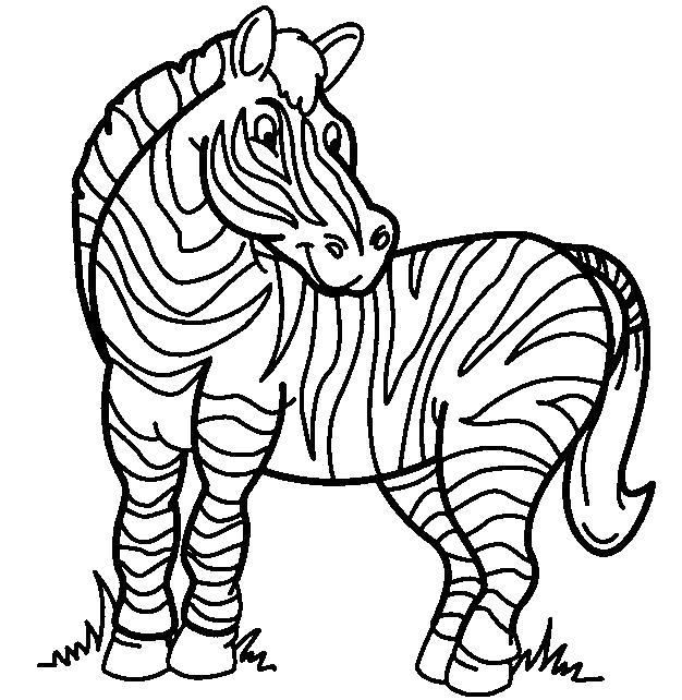 Раскраска  Зебра , зебра, животные, природа. Скачать зебра.  Распечатать Дикие животные
