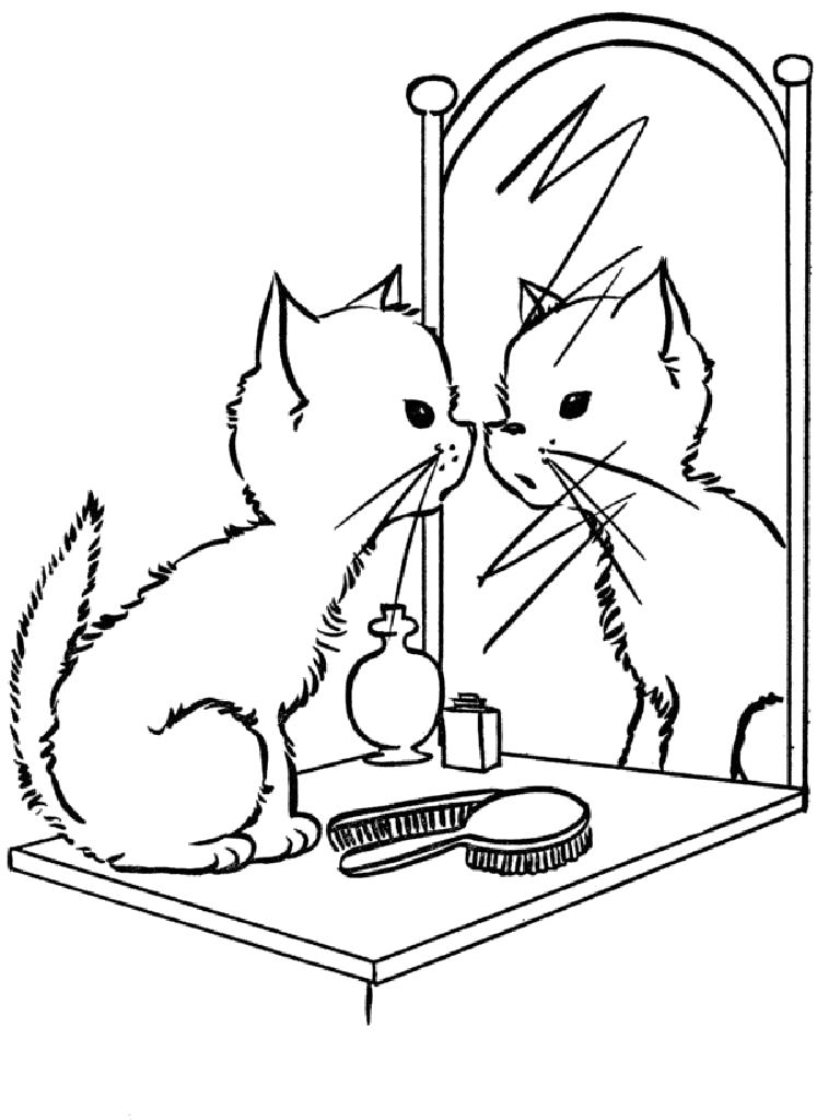 Раскраска Котёнок у зеркала. Домашние животные