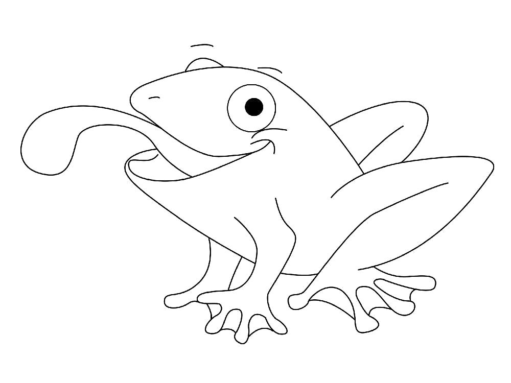 Раскраска Раскраска лягушка. лягушка