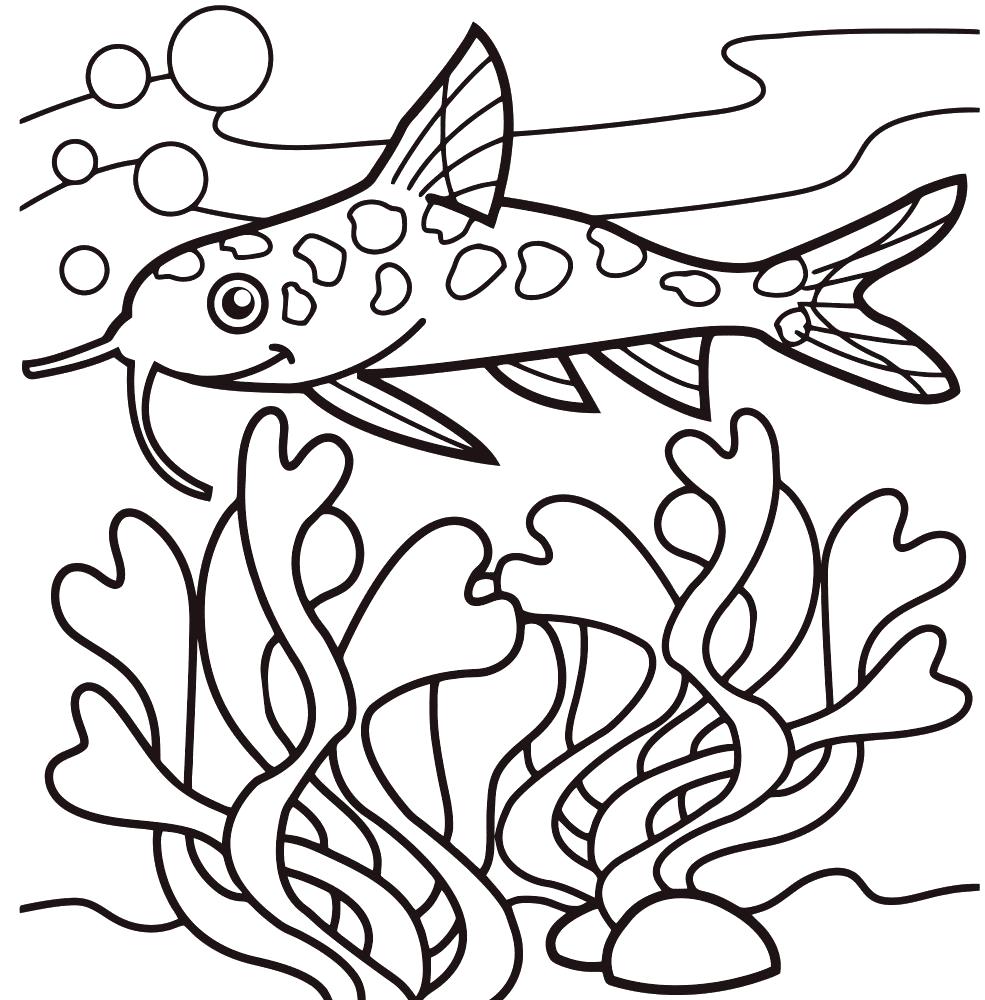 Раскраска Сомик. Скачать рыба.  Распечатать рыба