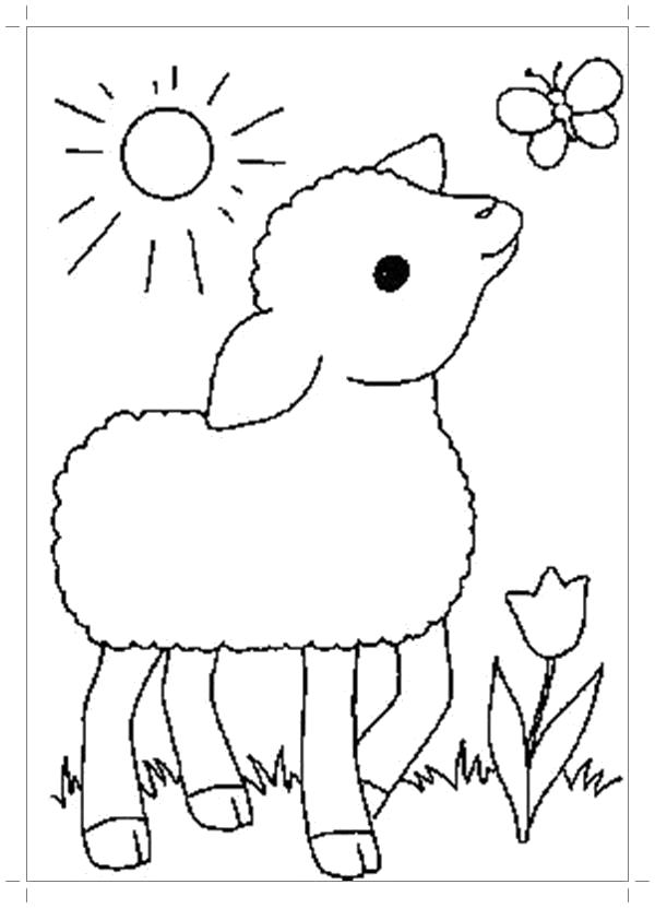 Раскраска Овца  для самых маленьких. Скачать Овца.  Распечатать Овца