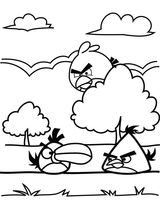 Раскраска Angry Birds. Скачать энгри бердс.  Распечатать энгри бердс