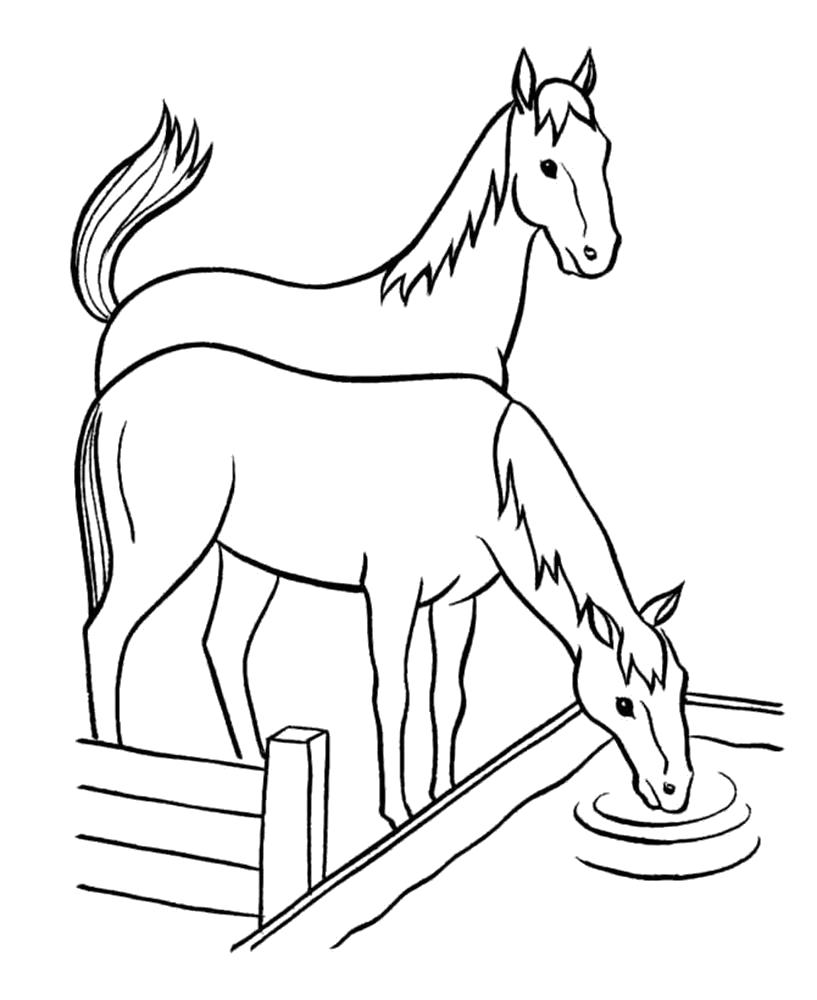 Название: Раскраска Лошадки пьют. Категория: Домашние животные. Теги: Лошадь.