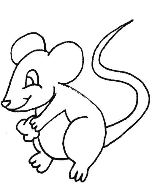 Раскраска мышка с лакомством. Скачать мышь.  Распечатать Дикие животные