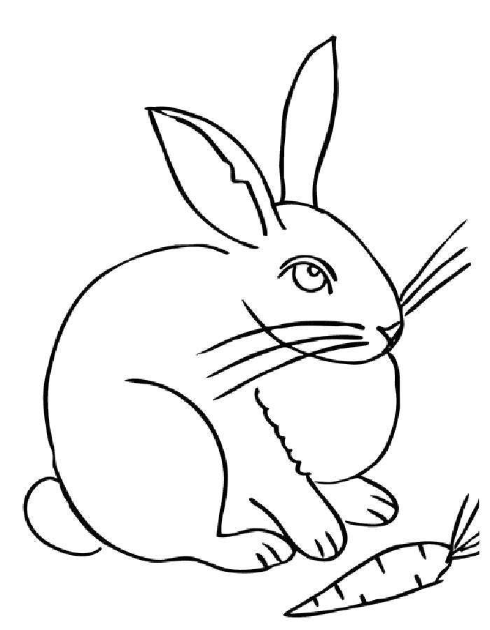 Раскраска  кролик с морковкой. Скачать Кролик.  Распечатать Кролик