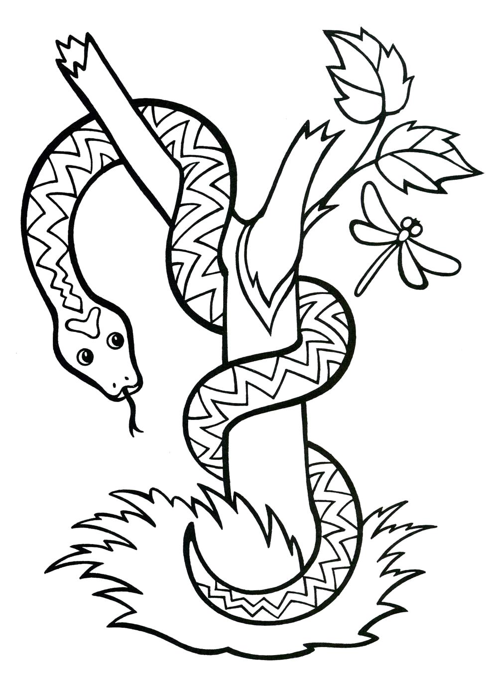 Название: Раскраска Змея ползет по дереву. Категория: Дикие животные. Теги: Змея.
