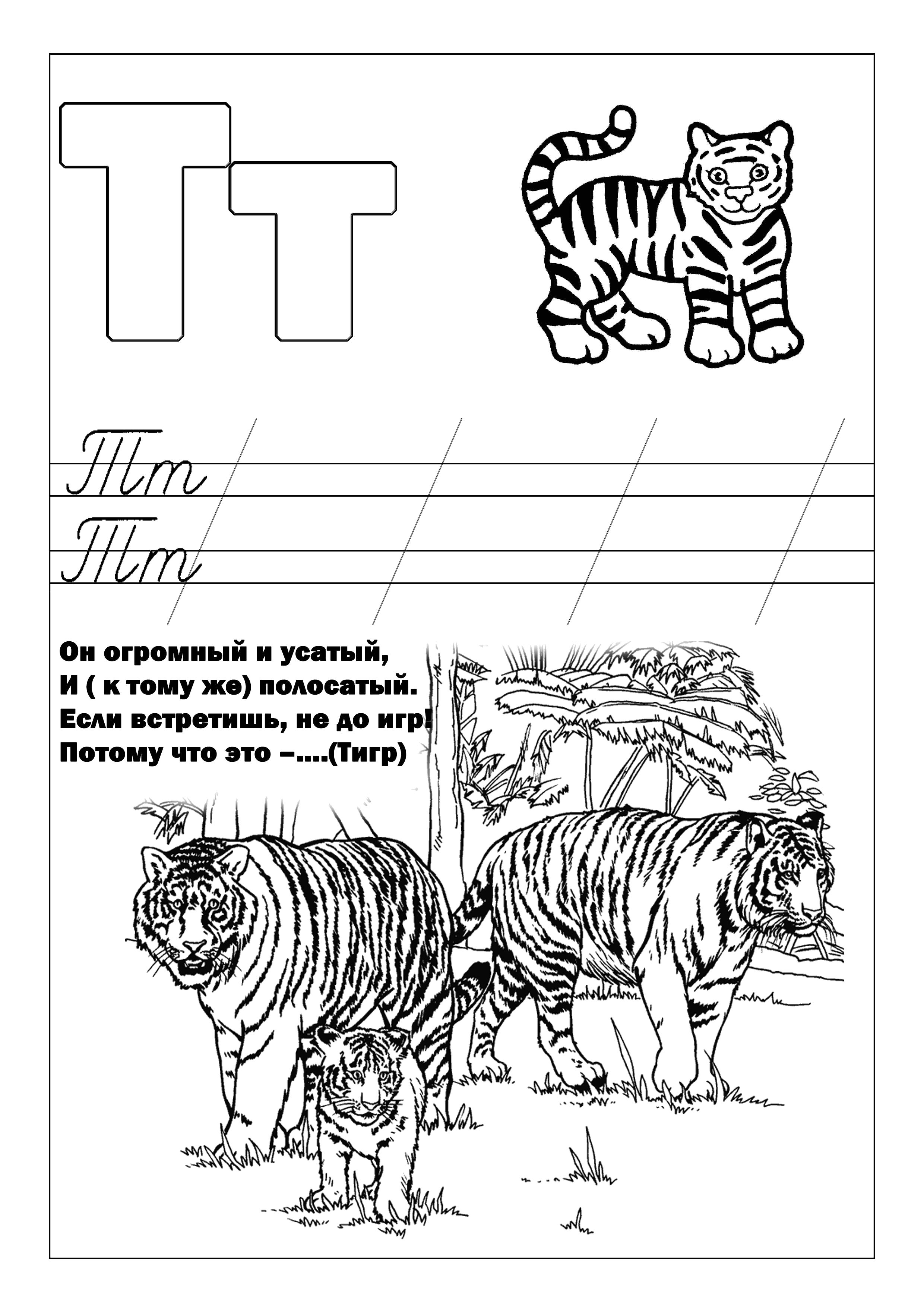 Название: Раскраска Т тигр. Категория: Алфавит. Теги: Азбука.