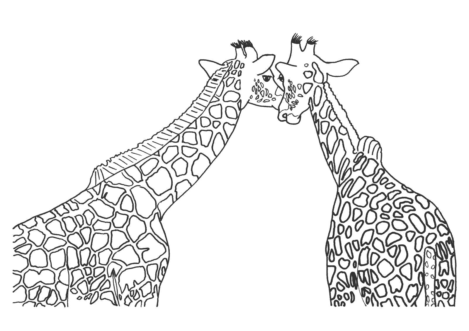 Раскраска Раскраски жирафки. антистресс