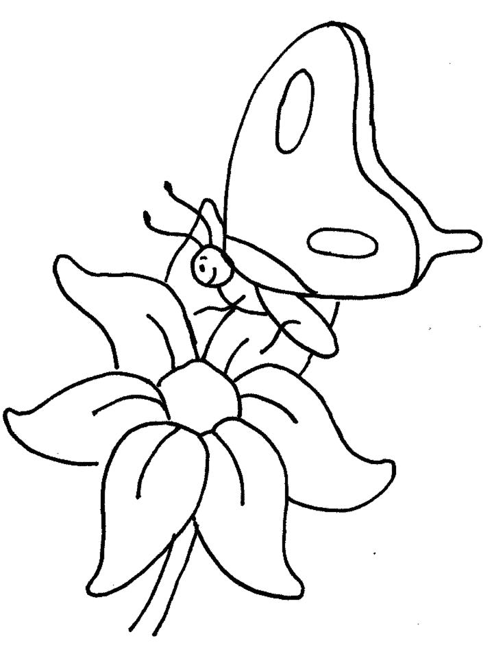 Бабочка на цветке раскраска | Детские раскраски, распечатать, скачать