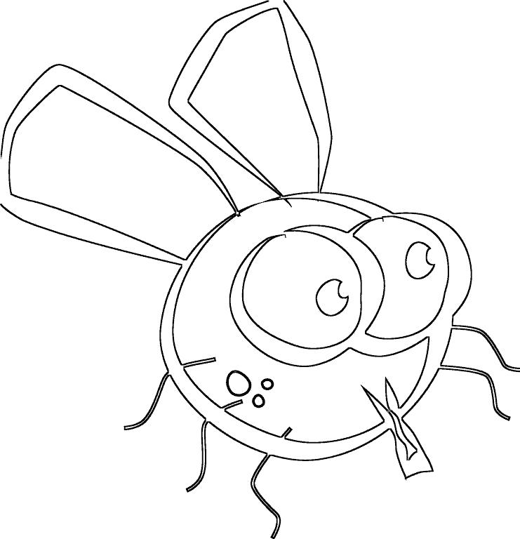 Название: Раскраска забавная муха. Категория: муха. Теги: муха.