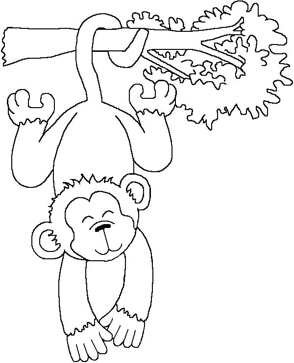 Название: Раскраска Висит вниз головой. Категория: обезьяна. Теги: обезьяна.