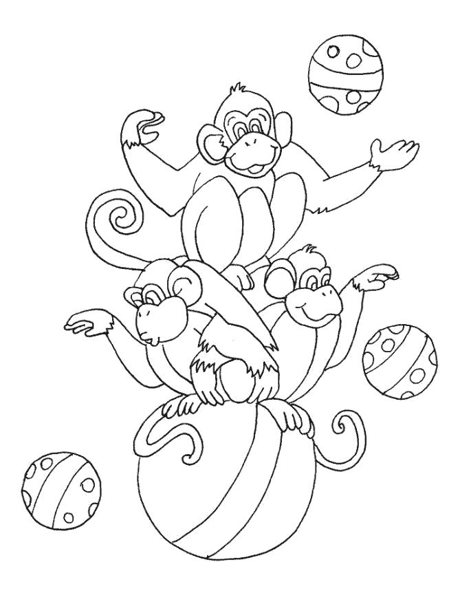 Раскраска  обезьянка жонглирует сидя на мяче. Скачать обезьяна.  Распечатать обезьяна