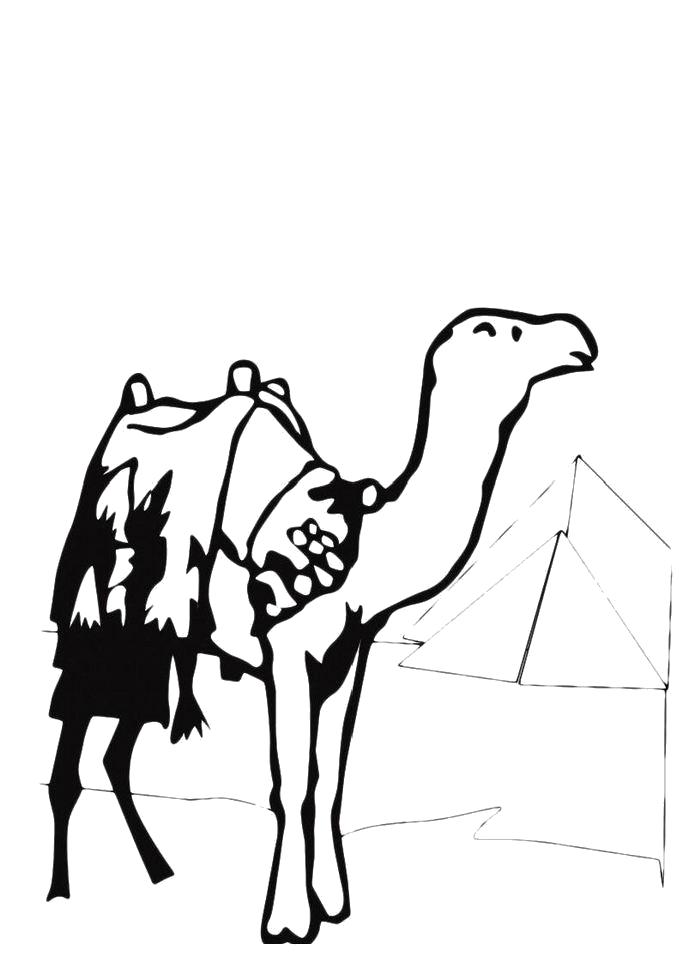 Раскраска Раскраска Верблюд в попоне. Дикие животные