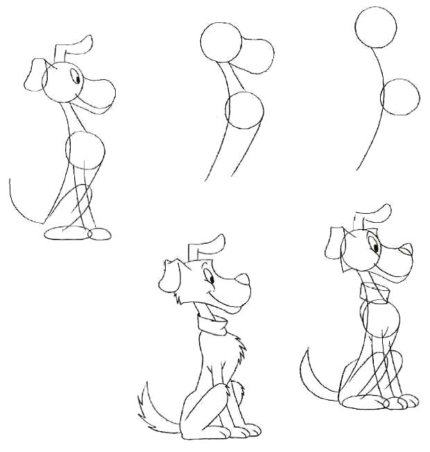 Раскраска Как нарисовать собака. Скачать как нарисовать.  Распечатать Учимся рисовать