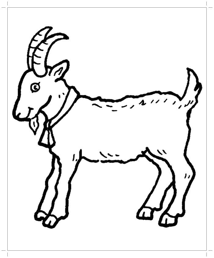 Раскраска Раскраска коза . Домашние животные